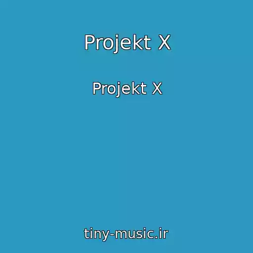 کاور آهنگ Projekt X از Projekt X