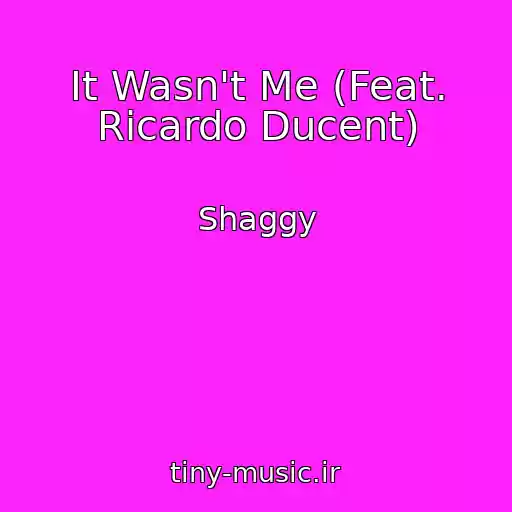 کاور آهنگ It Wasn't Me (Feat. Ricardo Ducent) از Shaggy