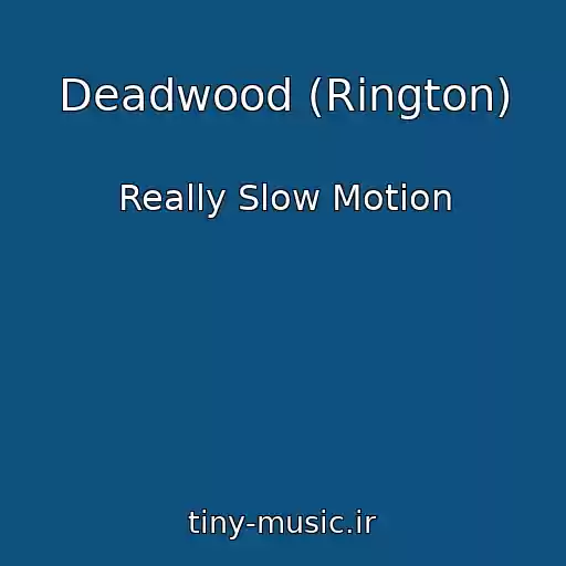 کاور آهنگ Deadwood (Rington) از Really Slow Motion