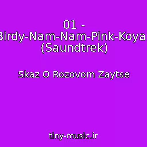 کاور آهنگ 01 - Birdy-Nam-Nam-Pink-Koyan (Saundtrek) از Skaz O Rozovom Zaytse
