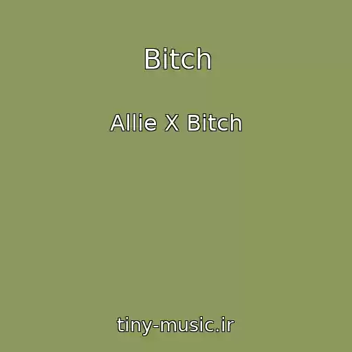 کاور آهنگ Bitch از Allie X Bitch