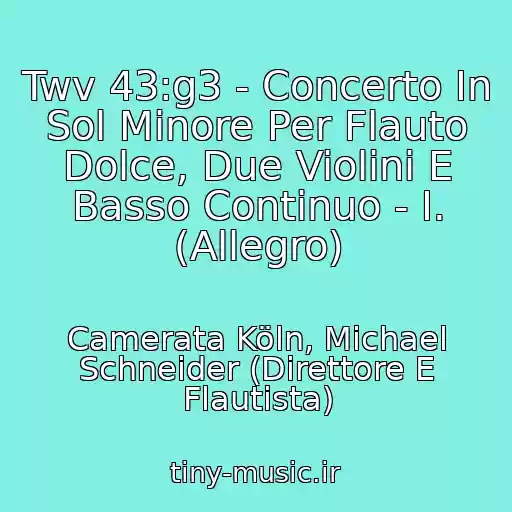 کاور آهنگ Twv 43:g3 - Concerto In Sol Minore Per Flauto Dolce, Due Violini E Basso Continuo - I. (Allegro) از Camerata Köln, Michael Schneider (Direttore E Flautista)