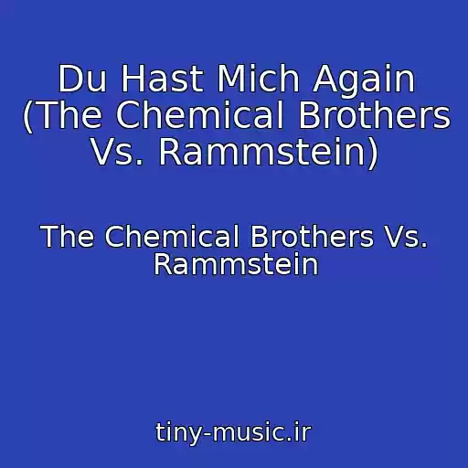کاور آهنگ Du Hast Mich Again (The Chemical Brothers Vs. Rammstein) از The Chemical Brothers Vs. Rammstein