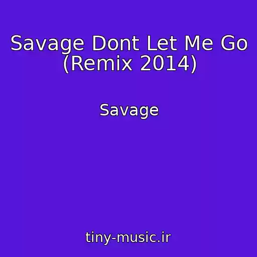 کاور آهنگ Savage Dont Let Me Go (Remix 2014) از Savage