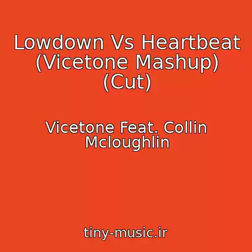 کاور آهنگ Lowdown Vs Heartbeat (Vicetone Mashup) (Cut) از Vicetone Feat. Collin Mcloughlin
