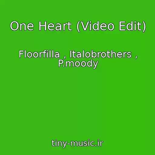 کاور آهنگ One Heart (Video Edit) از Floorfilla , Italobrothers , P.moody
