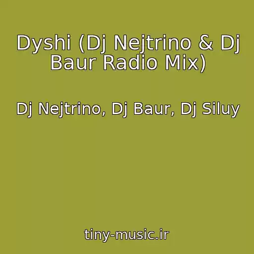 کاور آهنگ Dyshi (Dj Nejtrino & Dj Baur Radio Mix) از Dj Nejtrino, Dj Baur, Dj Siluy