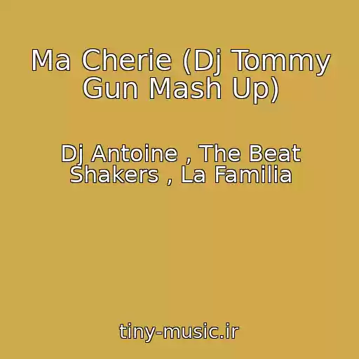کاور آهنگ Ma Cherie (Dj Tommy Gun Mash Up) از Dj Antoine , The Beat Shakers , La Familia