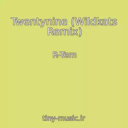 کاور آهنگ Twentynine (Wildkats Remix) از R-Tem