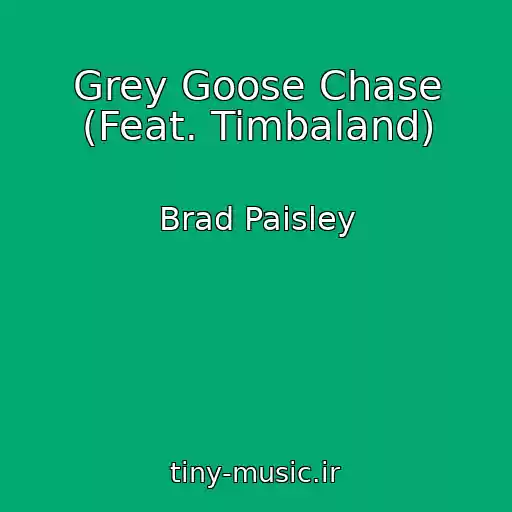 کاور آهنگ Grey Goose Chase (Feat. Timbaland) از Brad Paisley