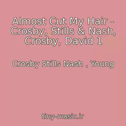 کاور آهنگ Almost Cut My Hair - Crosby, Stills & Nash, Crosby, David 1 از Crosby Stills Nash , Young