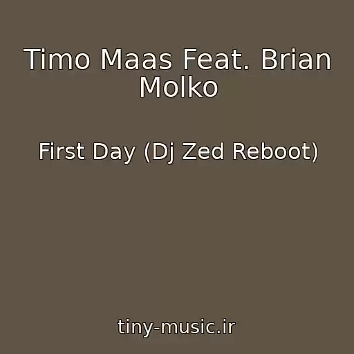کاور آهنگ Timo Maas Feat. Brian Molko از First Day (Dj Zed Reboot)
