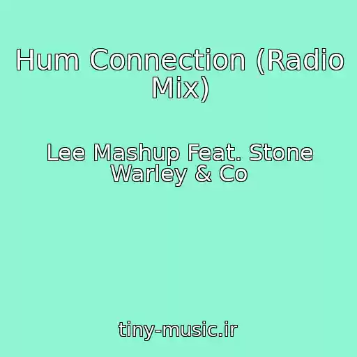 کاور آهنگ Hum Connection (Radio Mix) از Lee Mashup Feat. Stone Warley & Co