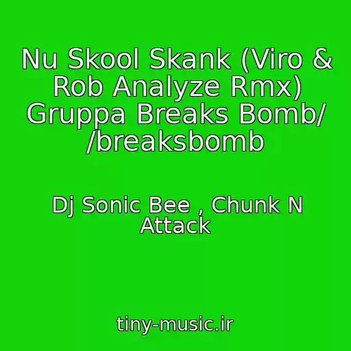 کاور آهنگ Nu Skool Skank (Viro & Rob Analyze Rmx) Gruppa Breaks Bomb/ /breaksbomb از Dj Sonic Bee , Chunk N Attack