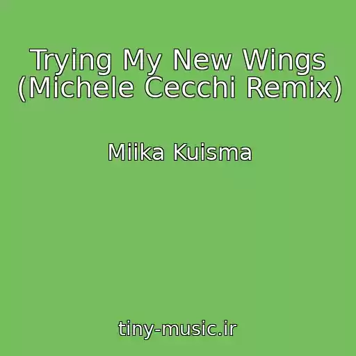 کاور آهنگ Trying My New Wings (Michele Cecchi Remix) از Miika Kuisma