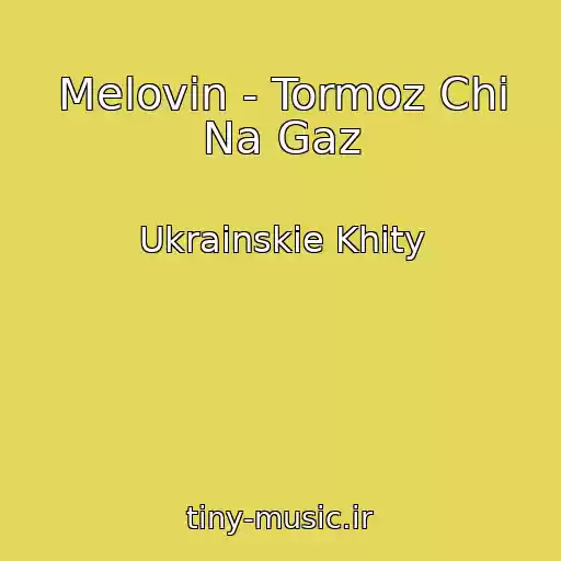 کاور آهنگ Melovin - Tormoz Chi Na Gaz از Ukrainskie Khity