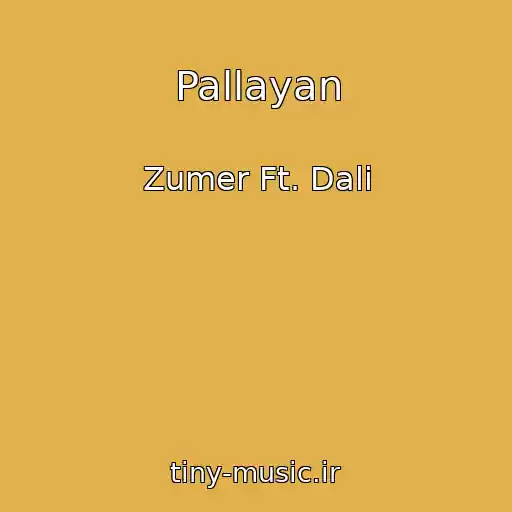 کاور آهنگ Pallayan از Zumer Ft. Dali