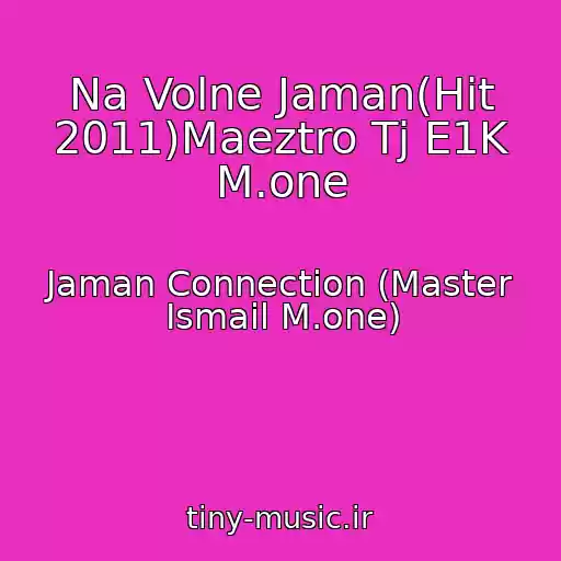 کاور آهنگ Na Volne Jaman(Hit 2011)Maeztro Tj E1K M.one از Jaman Connection (Master Ismail M.one)
