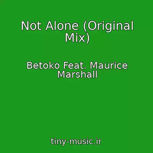 کاور آهنگ Not Alone (Original Mix) از Betoko Feat. Maurice Marshall