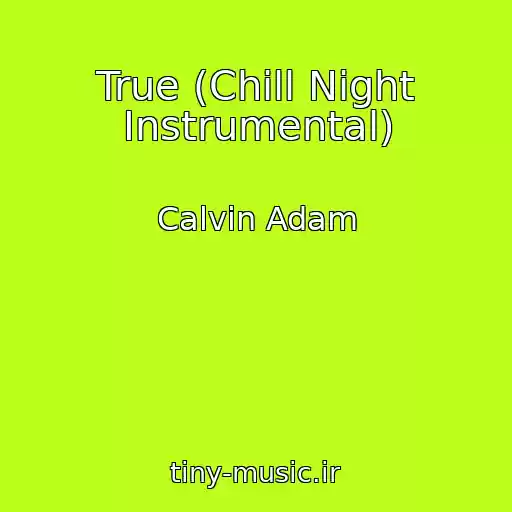 کاور آهنگ True (Chill Night Instrumental) از Calvin Adam