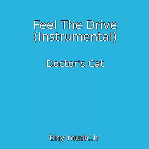 کاور آهنگ Feel The Drive (Instrumental) از Doctor's Cat
