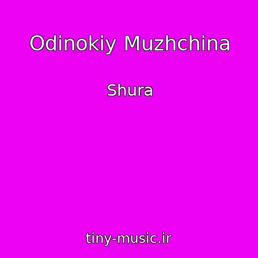 کاور آهنگ Odinokiy Muzhchina از Shura