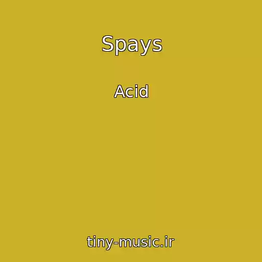 کاور آهنگ Spays از Acid