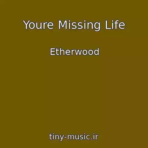 کاور آهنگ Youre Missing Life از Etherwood