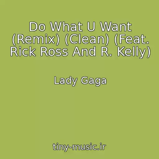 کاور آهنگ Do What U Want (Remix) (Clean) (Feat. Rick Ross And R. Kelly) از Lady Gaga