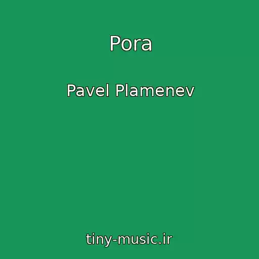 کاور آهنگ Pora از Pavel Plamenev