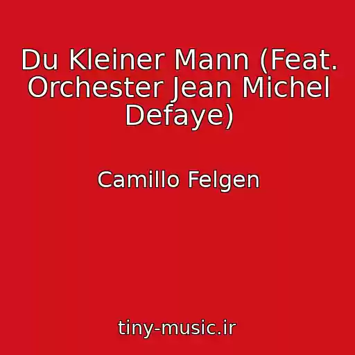 کاور آهنگ Du Kleiner Mann (Feat. Orchester Jean Michel Defaye) از Camillo Felgen
