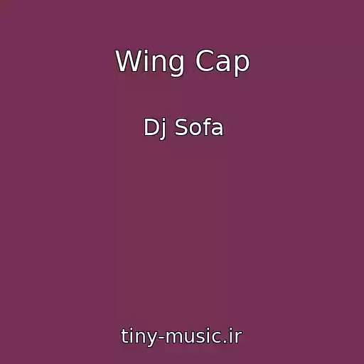 کاور آهنگ Wing Cap از Dj Sofa