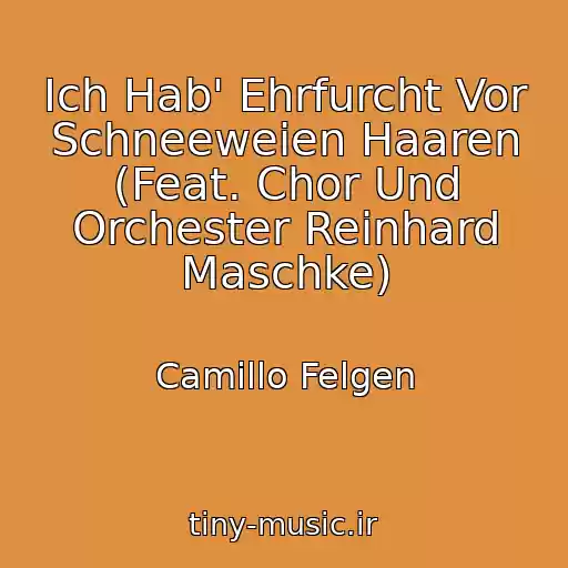کاور آهنگ Ich Hab' Ehrfurcht Vor Schneeweien Haaren (Feat. Chor Und Orchester Reinhard Maschke) از Camillo Felgen