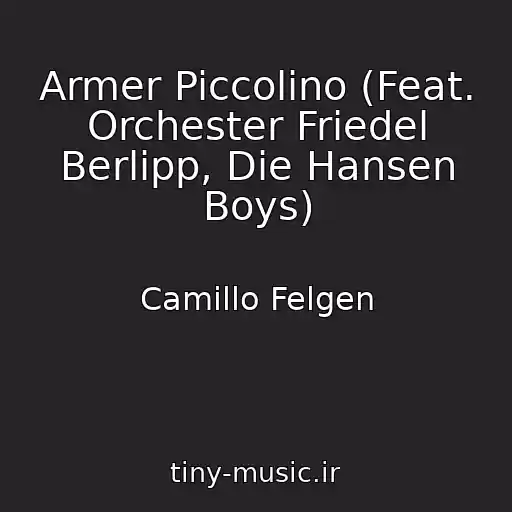 کاور آهنگ Armer Piccolino (Feat. Orchester Friedel Berlipp, Die Hansen Boys) از Camillo Felgen