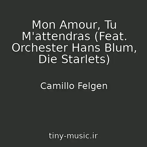 کاور آهنگ Mon Amour, Tu M'attendras (Feat. Orchester Hans Blum, Die Starlets) از Camillo Felgen