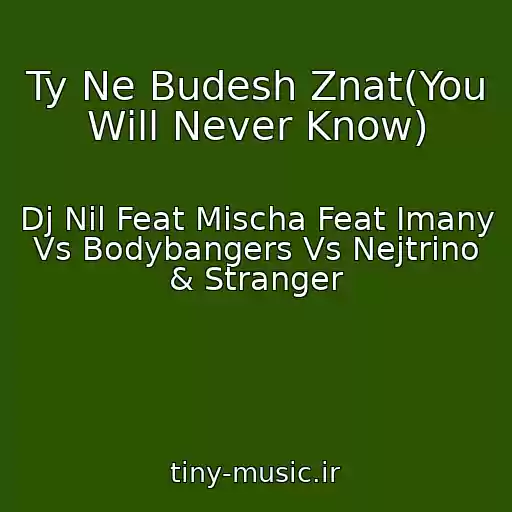 کاور آهنگ Ty Ne Budesh Znat(You Will Never Know) از Dj Nil Feat Mischa Feat Imany Vs Bodybangers Vs Nejtrino & Stranger