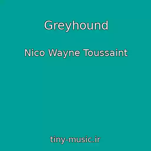 کاور آهنگ Greyhound از Nico Wayne Toussaint
