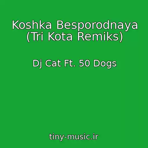 کاور آهنگ Koshka Besporodnaya (Tri Kota Remiks) از Dj Cat Ft. 50 Dogs