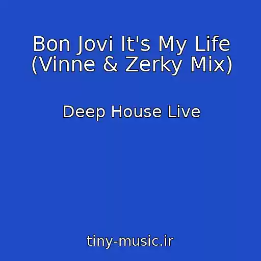 کاور آهنگ Bon Jovi It's My Life (Vinne & Zerky Mix) از Deep House Live