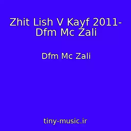 کاور آهنگ Zhit Lish V Kayf 2011- Dfm Mc Zali از Dfm Mc Zali
