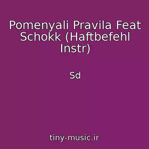 کاور آهنگ Pomenyali Pravila Feat Schokk (Haftbefehl Instr) از Sd