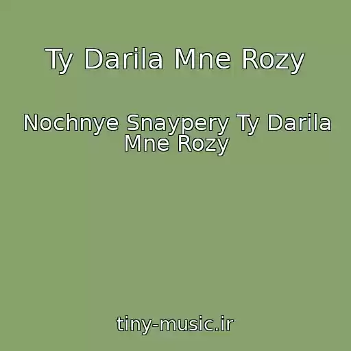کاور آهنگ Ty Darila Mne Rozy از Nochnye Snaypery Ty Darila Mne Rozy