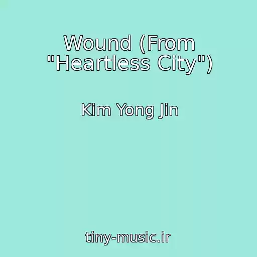 کاور آهنگ Wound (From "Heartless City") از Kim Yong Jin
