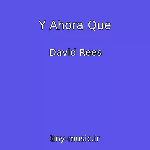 کاور آهنگ Y Ahora Que از David Rees