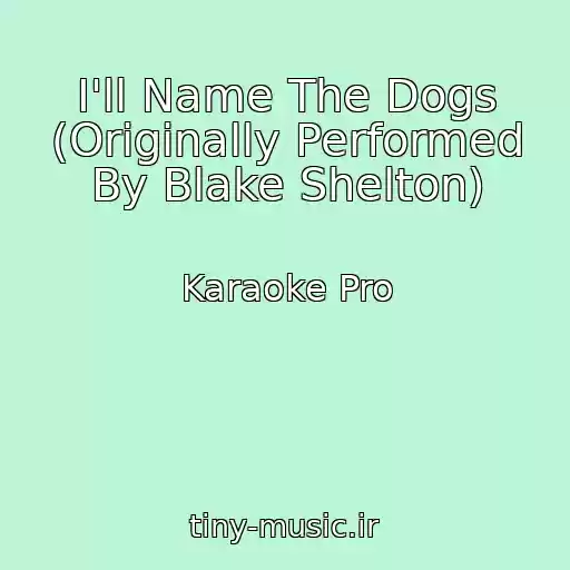 کاور آهنگ I'll Name The Dogs (Originally Performed By Blake Shelton) از Karaoke Pro