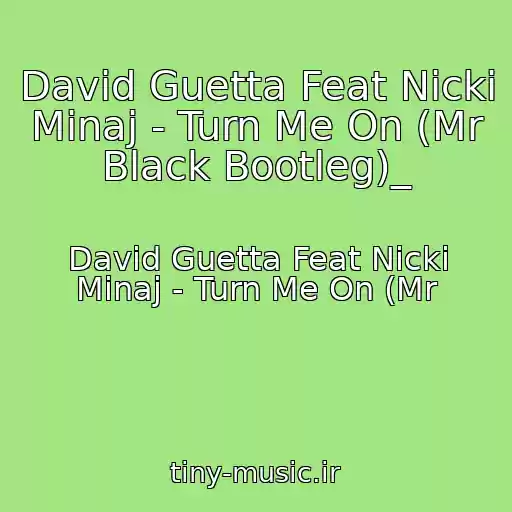 کاور آهنگ David Guetta Feat Nicki Minaj - Turn Me On (Mr Black Bootleg)_ از David Guetta Feat Nicki Minaj - Turn Me On (Mr