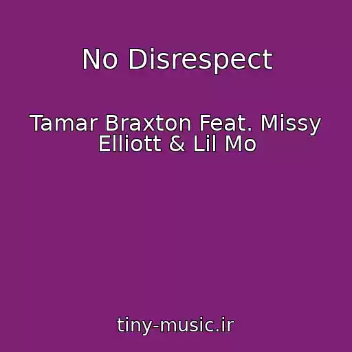 کاور آهنگ No Disrespect از Tamar Braxton Feat. Missy Elliott & Lil Mo