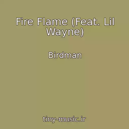 کاور آهنگ Fire Flame (Feat. Lil Wayne) از Birdman