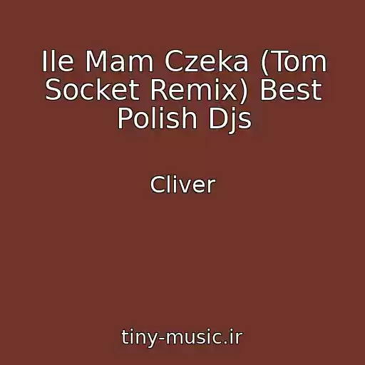 کاور آهنگ Ile Mam Czeka (Tom Socket Remix) Best Polish Djs از Cliver
