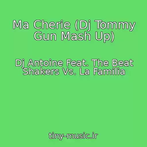 کاور آهنگ Ma Cherie (Dj Tommy Gun Mash Up) از Dj Antoine Feat. The Beat Shakers Vs. La Familia